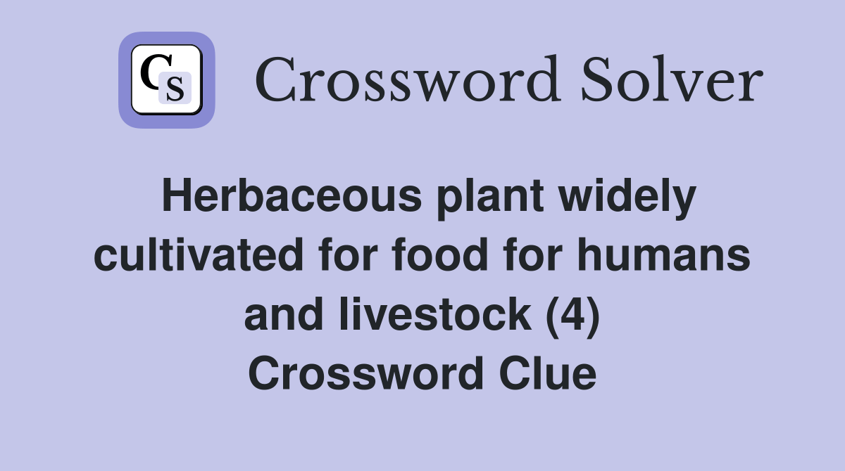 Herbaceous plant widely cultivated for food for humans and livestock (4
